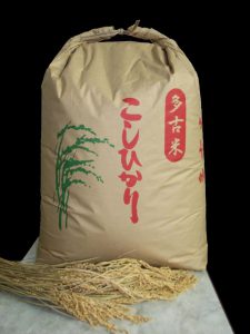 多古米こしひかり玄米 30kg